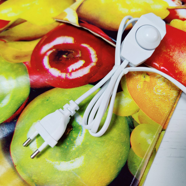 Электросушилка с ТЕРМОрегулятором "Самобранка" 50*50 см (Сушка фруктов, овощей, ягод, трав, кореньев